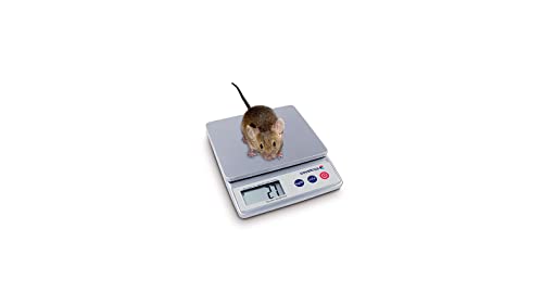 Präzisions-Sockel: Rango 5 kg/Präzision 0,01-1G Covetrus Präzisions-Sockel: Rango 5 kg/Präzision 0,01-1G Covetrus von Covetrus