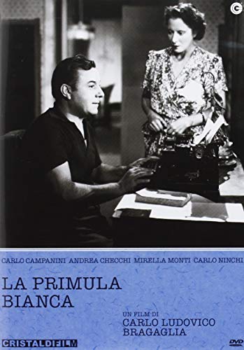 La primula bianca [IT Import] von CG
