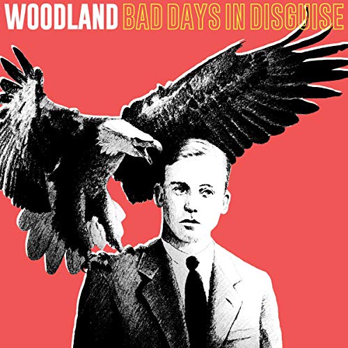 Bad Days in Disguise (Black Vinyl+CD) [Vinyl LP] von CRISPIN GLOVER-STICK