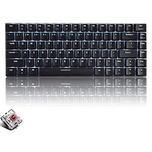 CROSS ZEBRA Mechanische Tastatur, 82 Tasten Anti-Ghosting Kompakte Ergonomische USB Kabelgebundene Computer Gaming Tastatur, Weiß Hintergrundbeleuchtung, Schnell Ansprechbar Brauner Schalter, Schwarz von CROSS ZEBRA