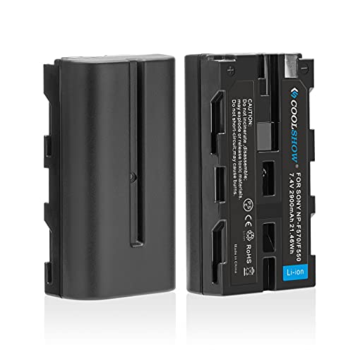 COOLSHOW NP F550 Akku (2 stück) 2900mAh Ersatzakkus für Sony NP F970 F750 F770 F960 F550 F530 F330 F570 CCD-SC55 TR516 TR716 TR818 TR910 TR917 von CS COOLSHOW