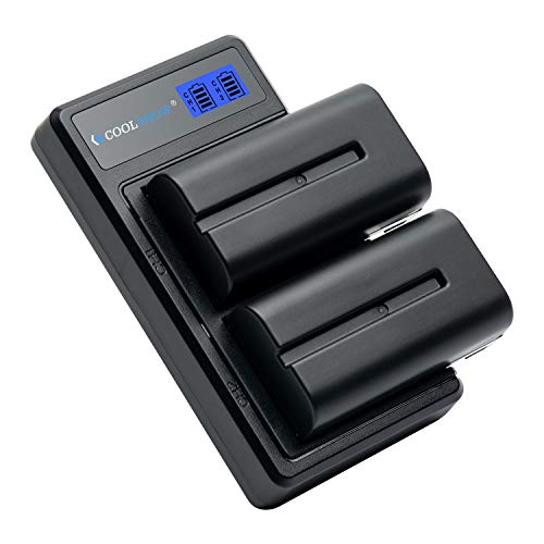 COOLSHOW NP F550 Akku (2 stück) 2900mAh Ersatzakkus mit Intelligenz LED USB F550 Akku Ladegerät für Sony NP F970 F750 F770 F960 F550 F530 F330 F570 CCD-SC55 TR516 TR716 TR818 TR910 TR917 von CS COOLSHOW