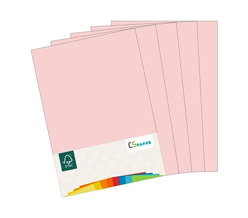 MADE IN EU 10 Blatt Bastelkarton ROSA A4 210 g/m² CS Paper - Bastelpapier, Fotokarton, Tonpapier zum Basteln, Falten und Zeichnen im Format DIN A4. Farbkarton für den Heim- & Bürobedarf von CS Webkontor