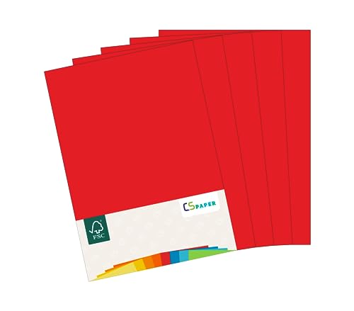 MADE IN EU 10 Blatt Bastelkarton ROT A4 210 g/m² CS Paper - Bastelpapier, Fotokarton, Tonpapier zum Basteln, Falten und Zeichnen im Format DIN A4. Farbkarton für den Heim- & Bürobedarf von CS Webkontor