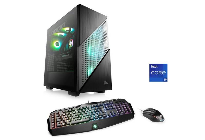 CSL Aqueon C99364 Extreme Edition Gaming-PC (Intel® Core i9 13900F, AMD Radeon RX 7900XT, 32 GB RAM, 1000 GB SSD, Wasserkühlung) von CSL