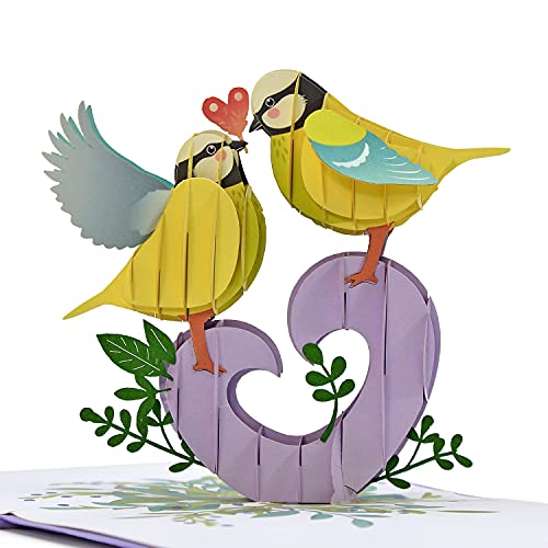 CUTPOPUP Finch Birds - Paar Finken küssende Pop-Up-Karte, Jubiläumskarte, Valentinstag, Hochzeitstag, Geburtstag, Muttertag, Grußkarte US8-LO112 DE von CUT POPUP.COM
