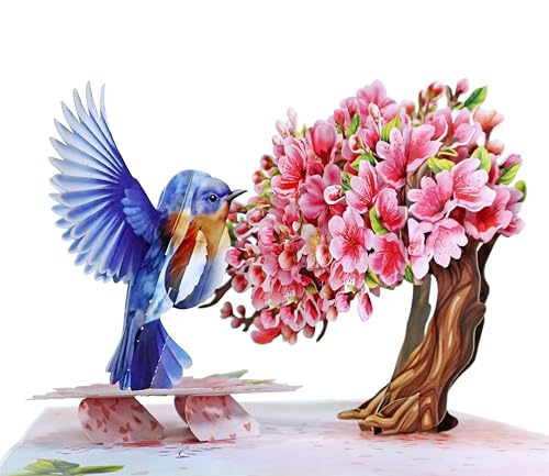 CUTPOPUP Kirsche mit Robin Bird - Geburtstagskarte Frau, Karte Muttertag, Geburtstagskarte, Geburtstagskarte Mann, 3D Valentinskarte, Karte Liebe (Cherry with Robin) US8-AN175DE von CUT POPUP.COM