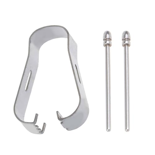 CYILPR 2 Stück Metall Stiftminen Mit Runder Spitze Und Clip Für Bemerkenswerte Schreiber Schreibstifte Präzisions Zeichnungsstifte Stiftspitzen von CYILPR