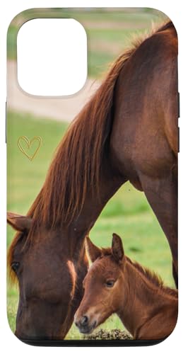 Hülle für iPhone 13 Pro Fohlen Junges Pferd Alezan | schönes süßes goldenes Liebesherz Hülle für iPhone 13 Pro Fohlen Junges Pferd Alezan | schönes süßes goldenes Liebesherz von Cadeau Cheval Personnalisé Avec Coeur D'Amour Doré
