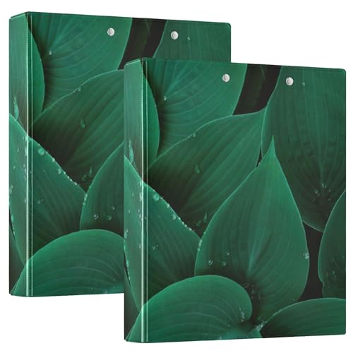 3,8 cm (1 1/2 Zoll) Ordner mit 3 Ringen, Notizbuch mit Tascheneinband, 1/2er-Pack, Büroordner, 200 Blatt, Blumen, Blumen, Hosta, grüne Blätter und Wassertropfen von Caihoyu