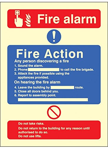 Caledonia Schilder 41426h"FIRE ACTION/CALL Point mit" Lift Zeichen, Foto Leuchtziffern selbstklebend Vinyl, 300 mm x 250 mm x 250 mm von Caledonia Signs