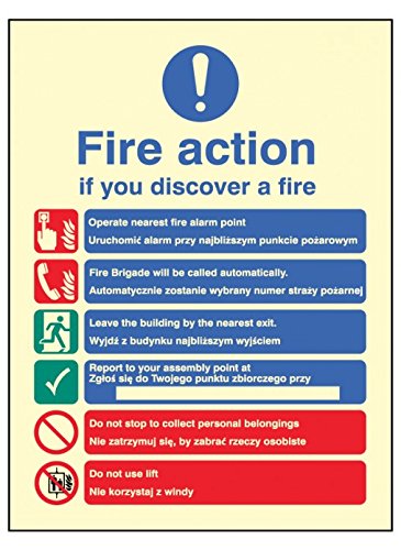Caledonia Signs 41440E"Fire Action Auto Dial with Lift (English & Polish)" Schild, Foto, leuchtendes selbstklebendes Vinyl, 200 mm x 150 mm von Caledonia Signs