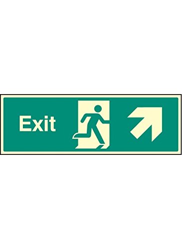 Caledonia Signs 42010G Hinweisschild"Exit-Up and Right Sign", Foto, leuchtend, selbstklebend, Vinyl, 300 mm x 100 mm von Caledonia Signs