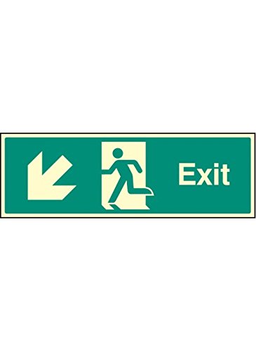 Caledonia Signs 42013L Schild"Exit-Down and Left Sign", Foto, leuchtend, selbstklebend, Vinyl, 450 mm x 150 mm von Caledonia Signs