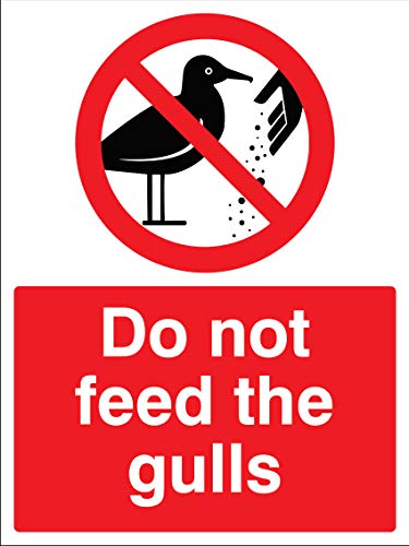 Selbstklebendes Vinyl-Schild"Do not feed the gulls" von Caledonia Signs