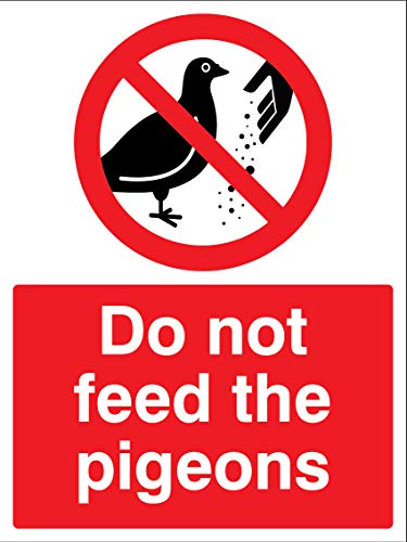 Sicherheitsschild „Do not feed the pigeons“, starr, PVC von Caledonia Signs