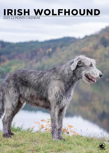Irish Wolfhound Kalender 2025, Spiralbindung, A3 Irish Wolfhound Kalender 2025, Spiralbindung, A3 von Calendars R Us