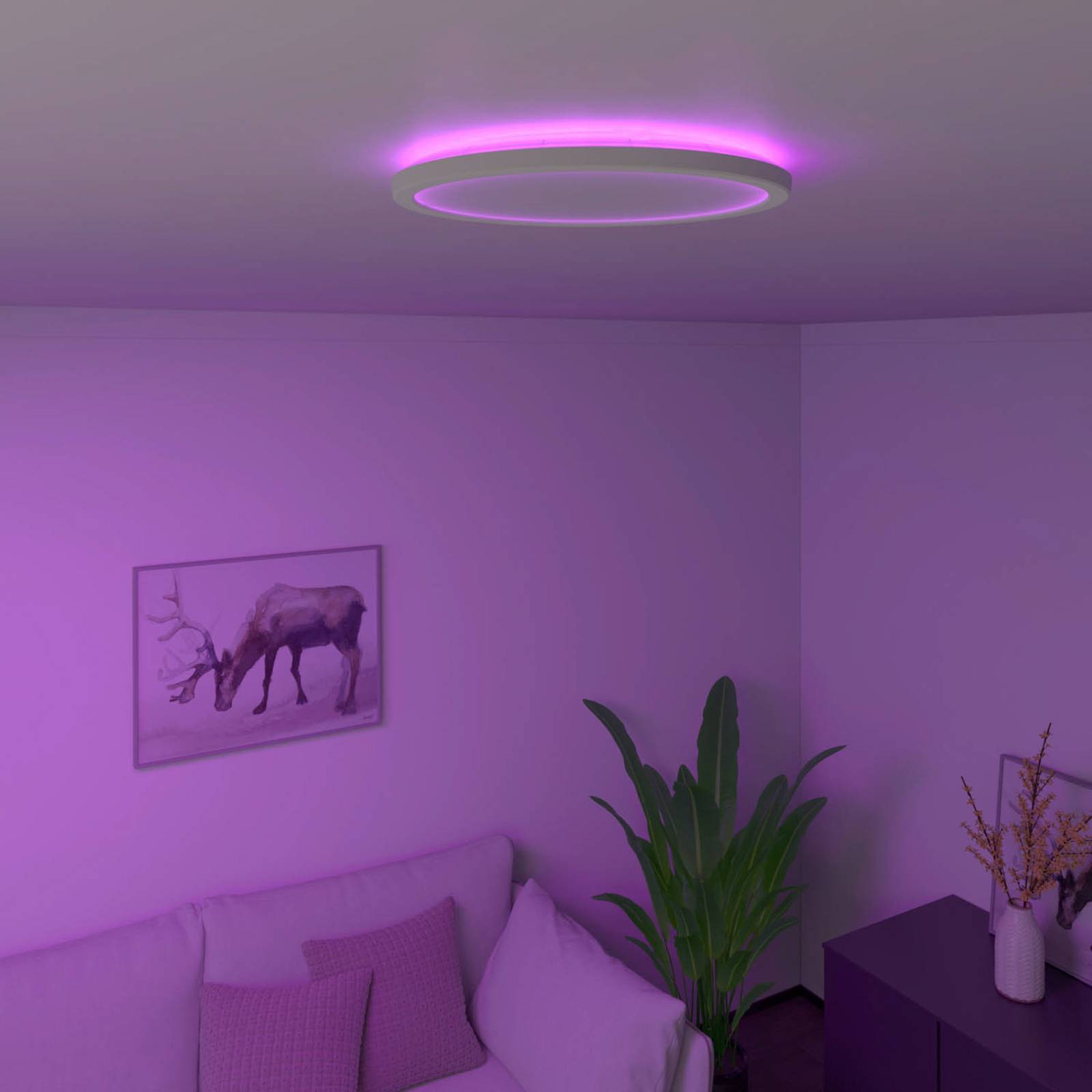 Calex Smart Halo LED-Deckenleuchte, Ø 29,2 cm Calex Smart Halo LED-Deckenleuchte, Ø 29,2 cm von Calex