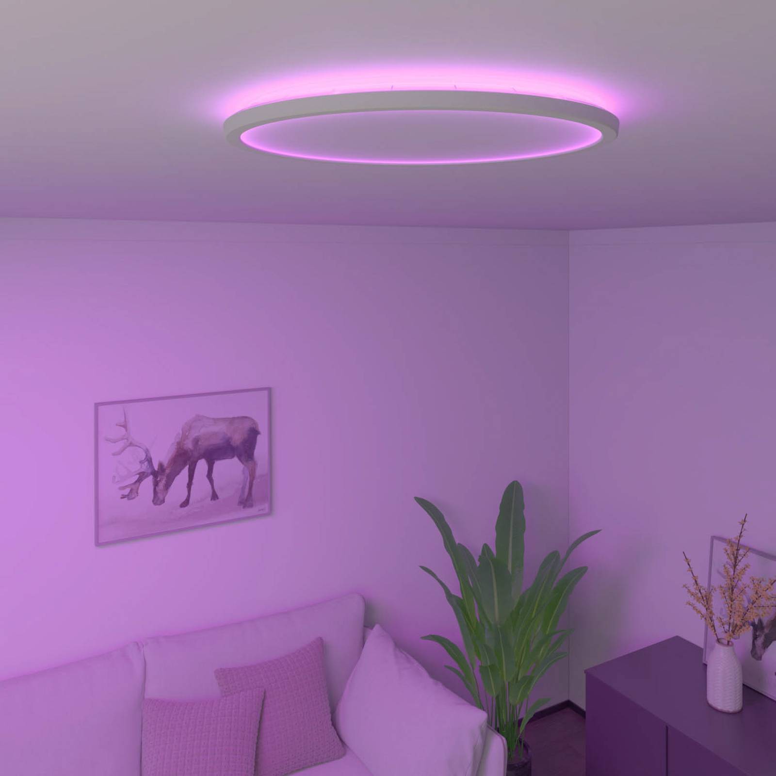 Calex Smart Halo LED-Deckenleuchte, Ø 40 cm Calex Smart Halo LED-Deckenleuchte, Ø 40 cm von Calex