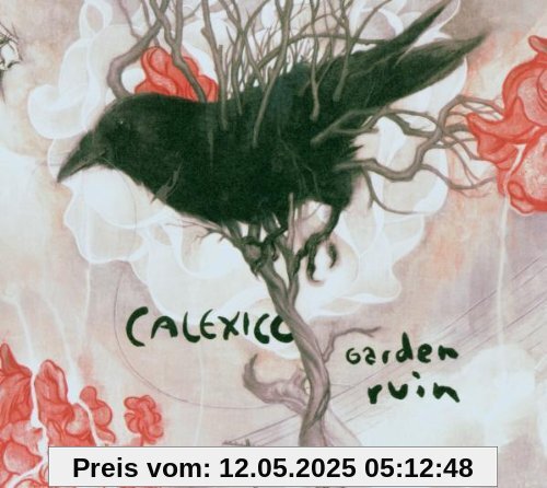 Garden Ruin von Calexico