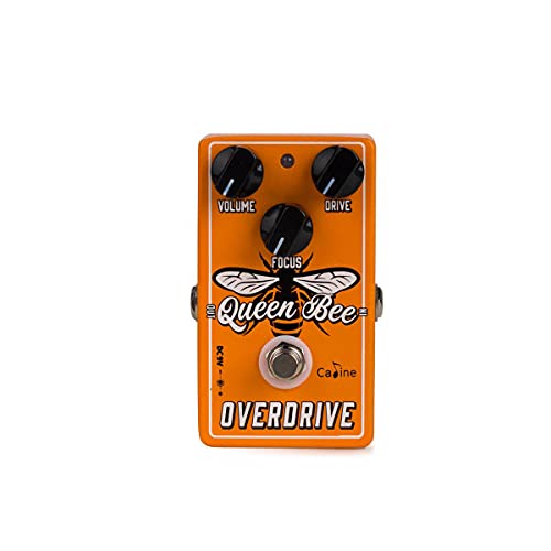 Caline CP-503 Queen Bee Overdrive - Overdrive Pedale von Caline