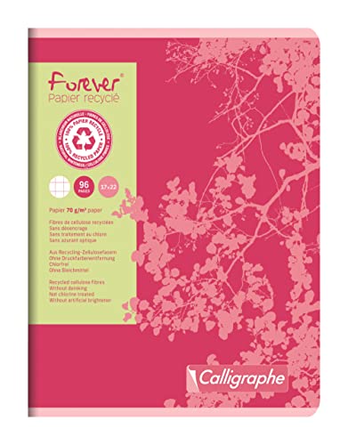 Clairefontaine 17105C - Packung mit 10 Heften Forever Calligraphe 17x22 cm, 48 Blatt, kariert, Recycling Papier, 70g, sortierte Farben, 1 Pack von Calligraphe