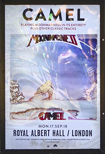 Camel - Live At The Royal Albert Hall (1 DVD) von Camel Productions