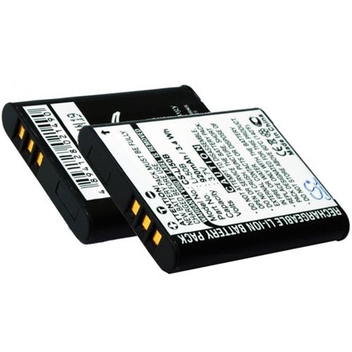 Akku für RICOH DB-100 (770mAh / 2.85Wh) von Cameron Sino