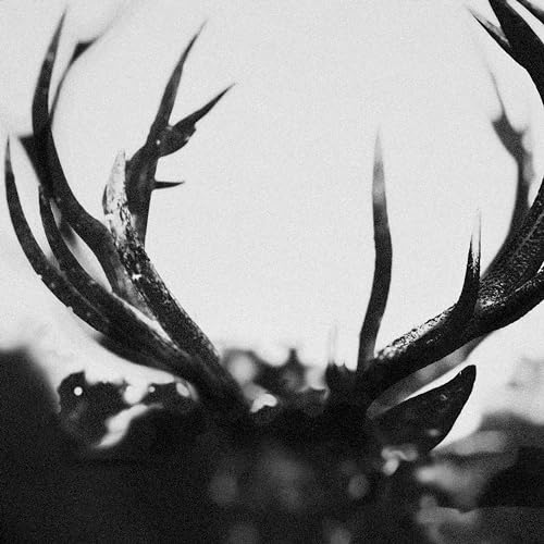 Ihsahn (Ltd. Black Yolk Col. 2lp) [Vinyl LP] von Candlelight Records