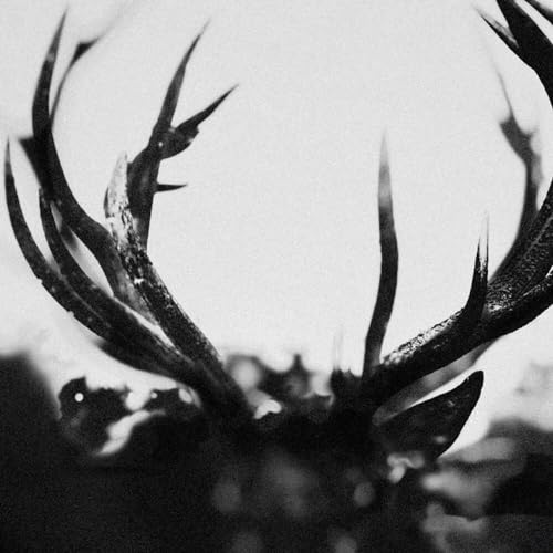 Ihsahn Ihsahn von Candlelight Records