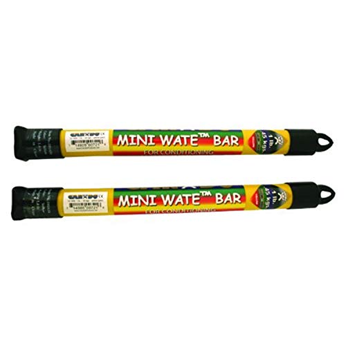 CanDo 2 Gewichtsstäbe, Weighted Bars für Kraft- und Coretraining, Mini Wate™ Bars, Länge 36 cm, Gewicht 0,45 kg von Cando