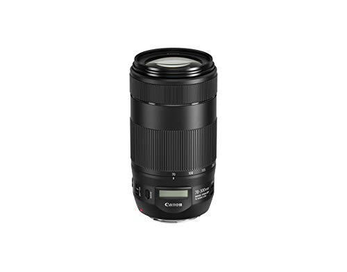 Canon EF 70-300mm F4-5.6 is II USM Objektiv (67mm Filtergewinde) schwarz von Canon