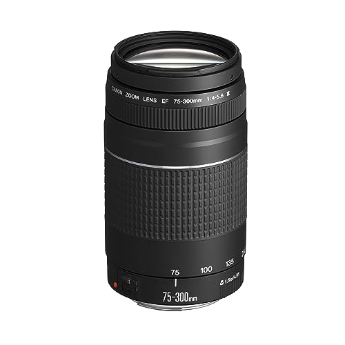 Canon EF 75-300mm F4.0-5.6 III Zoomobjektiv (58mm Filtergewinde) schwarz von Canon
