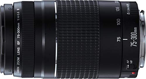 Canon EF 75-300mm f/4.0-5.6 III Lens (Generalüberholt) von Canon