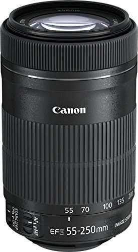 Canon EF-S 55-250mm 1:4-5.6 is STM Tele-Zoomobjektiv (58mm Filtergewinde) schwarz von Canon