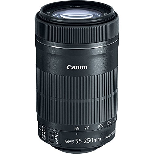 Canon EF-S 55-250mm F4-5.6 IS STM Objektiv für Spiegelreflexkameras von Canon von Canon