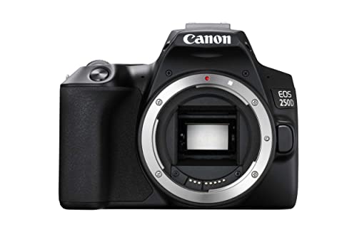 Canon EOS 250D Digitale Spiegelreflexkamera Gehäuse Body (24, 1 Megapixel, 7, 7 cm (3 Zoll) Vari-Angle Display, APS-C-Sensor, Dual Pixel CMOS AF, 4K, Full-HD, DIGIC 8, WLAN, Bluetooth), schwarz von Canon