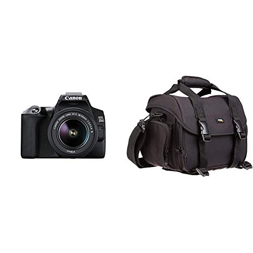 Canon EOS 250D Digitalkamera (24,1 Megapixel, 7,7 cm (3 Zoll) Vari-Angle Display, APS-C-Sensor, 4K, Full-HD, DIGIC 8, WLAN) & Amazon Basics - Große L Umhängetasche für SLR-Kamera und Zubehör von Canon