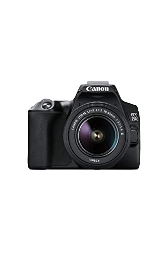 Canon EOS 250D Digitalkamera - mit Objektiv EF-S 18-55mm F4-5.6 IS STM (24, 1 Megapixel, 7, 7 cm (3 Zoll) Vari-Angle Display, APS-C-Sensor, 4K, Full-HD, DIGIC 8, WLAN, Bluetooth), schwarz von Canon