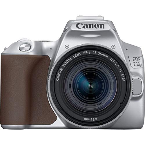 Canon EOS 250D Digitalkamera - mit Objektiv EF-S 18-55mm F4-5.6 IS STM (24, 1 Megapixel, 7, 7 cm (3 Zoll) Vari-Angle Display, APS-C-Sensor, 4K, Full-HD, DIGIC 8, WLAN, Bluetooth), silber von Canon