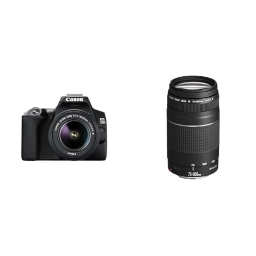 Canon EOS 250D Digitalkamera - mit Objektiv EF-S 18-55mm F4-5.6 is STM & EF 75-300mm F4.0-5.6 III Zoomobjektiv (58mm Filtergewinde) schwarz von Canon