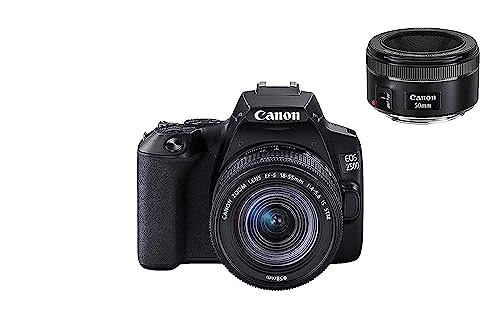 Canon EOS 250D Digitalkamera - mit Objektiven EF-S 18-55mm F4-5.6 IS STM + EF 50mm F1.8 STM (24,1 MP, 7, 7 cm (3 Zoll) Vari-Angle Display, APS-C-Sensor, 4K, Full-HD, DIGIC 8, WLAN, Bluetooth), schwarz von Canon