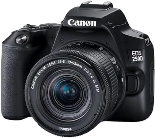 Canon EOS 250D Gehäuse - Schwarz + EF-S 18-55mm f4-5.6 IS STM von Canon