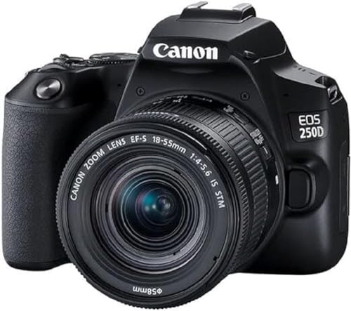 Canon EOS 250D Gehäuse - Schwarz + EF-S 18-55mm f4-5.6 is STM von Canon