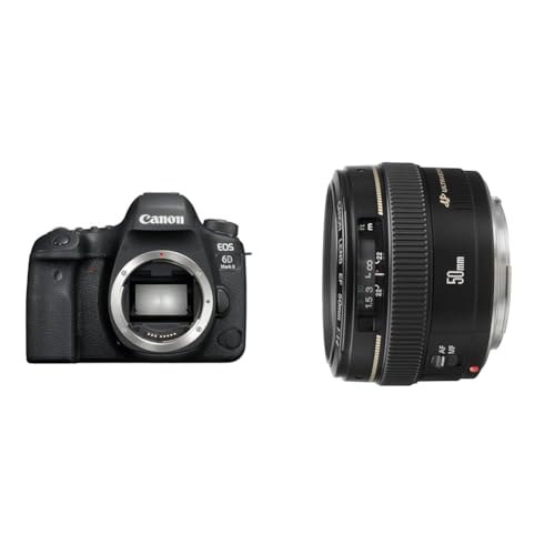 Canon EOS 6D Mark II DSLR Digitalkamera Gehäuse Body & EF 50mm F1.4 USM Standardobjektiv (58mm Filtergewinde) schwarz von Canon