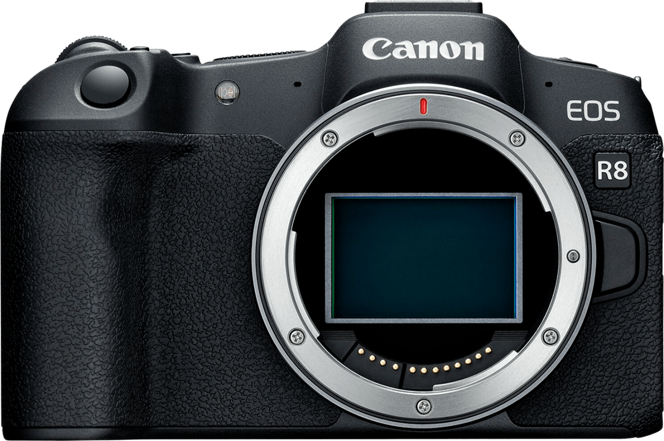 Canon EOS R8 Body von Canon