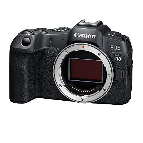 Canon EOS R8 spiegellose Vollbildkamera (nur Gehäuse) mit 24,2 MP, 4K-Video, DIGIC X Bildprozessor (Schwarz) von Canon