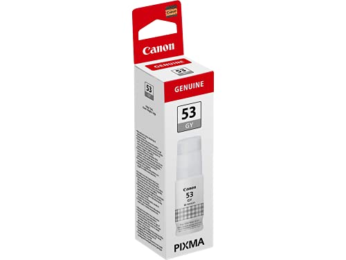 Canon GI-53 RY Tinte rosa Druckertinte 60ml hohe Reichweite für PIXMA Tintenstrahldrucker ORIGINAL von Canon
