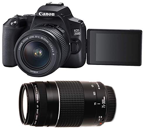 Canon Lustrzanka Canon EOS 250D + 18-55mm + 75-300mm von Canon