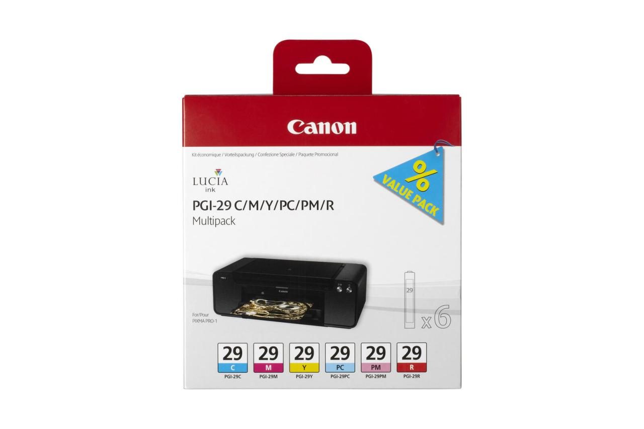 Canon Original PGI-29 Druckerpatronen 6er-Multipack - C/M/PC/PM/Y/R von Canon
